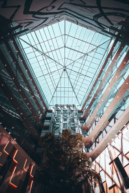 Essential Tips for Keeping Your Houseplants Healthy and Thriving